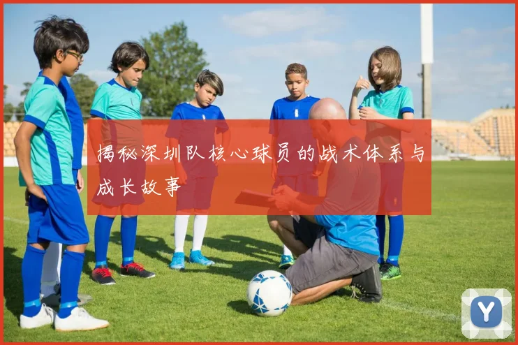 揭秘深圳队核心球员的战术体系与成长故事