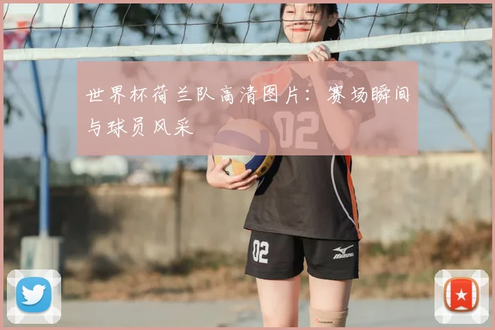 世界杯荷兰队高清图片：赛场瞬间与球员风采
