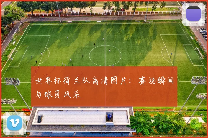 世界杯荷兰队高清图片：赛场瞬间与球员风采